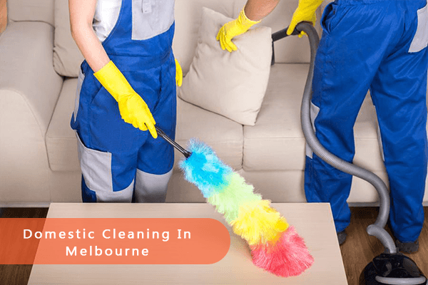 domestic cleaning